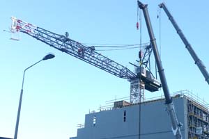 Luffing jib tower crane